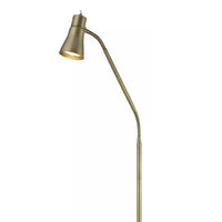 Antique Brass Gooseneck Floor Lamp