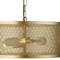 Satin Gold Mesh Cage Pendant Light