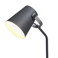 Grey Hobby Desk Lamp