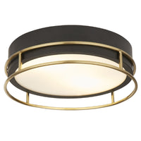 Black & Polished Brass Cage Bathroom Vintage Round 2 Lamp Flush Light 30cm