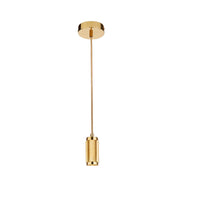 Polished Brass Ceiling pendant