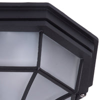 Satin Black Outdoor Frosted Glass Wall Ceiling Light