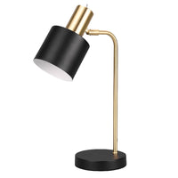 Metal Matt Black Vintage Desk Study Light