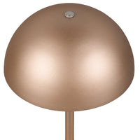 Copper LED Table Lamp