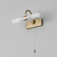 Brass Switched Swan Neck Bathroom Light